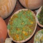 Vraj-Yatra-2014- (884)